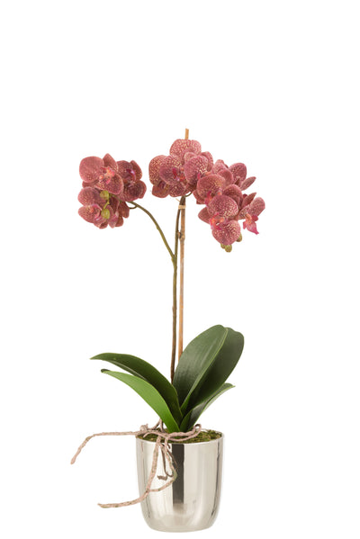 Orchidee im Topf Kunststoff/Zement Dunkelrosa/Silber